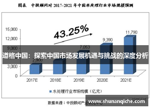道格中国：探索中国市场发展机遇与挑战的深度分析