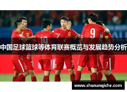 中国足球篮球等体育联赛概览与发展趋势分析