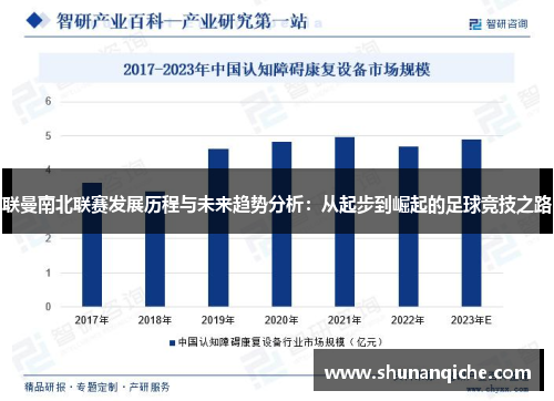 联曼南北联赛发展历程与未来趋势分析：从起步到崛起的足球竞技之路
