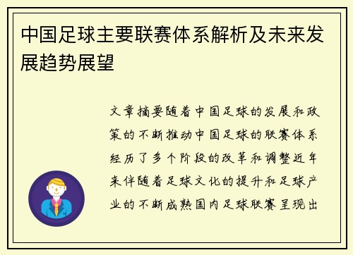 中国足球主要联赛体系解析及未来发展趋势展望