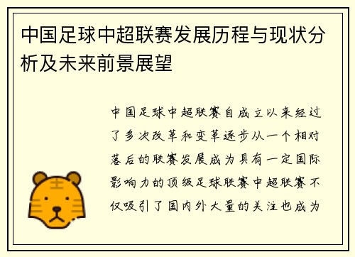 中国足球中超联赛发展历程与现状分析及未来前景展望